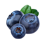 Blueberries