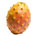 Prickly Pear